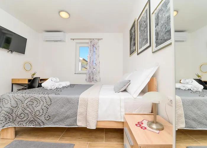 Gasthuis Forever Miholascica